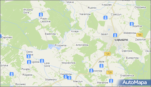 mapa Antonielów gmina Łopuszno, Antonielów gmina Łopuszno na mapie Targeo