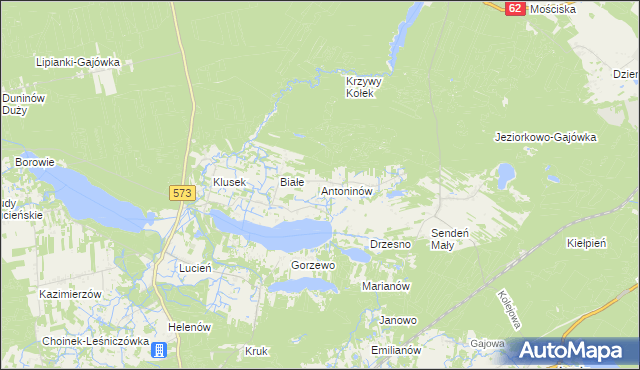 mapa Antoninów gmina Gostynin, Antoninów gmina Gostynin na mapie Targeo