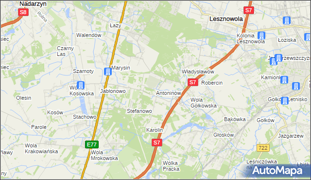 mapa Antoninów gmina Piaseczno, Antoninów gmina Piaseczno na mapie Targeo