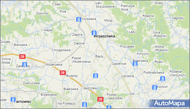 mapa Bajdy gmina Wojaszówka, Bajdy gmina Wojaszówka na mapie Targeo