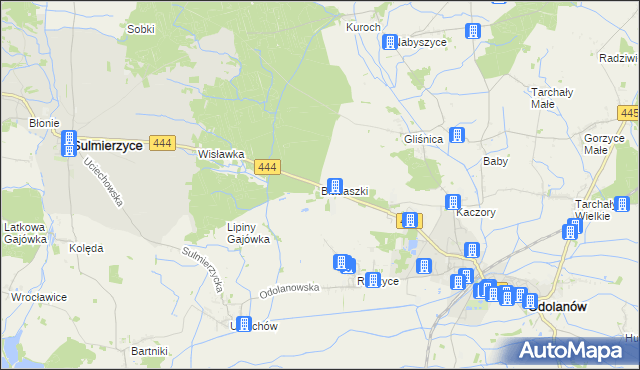 mapa Biadaszki gmina Odolanów, Biadaszki gmina Odolanów na mapie Targeo