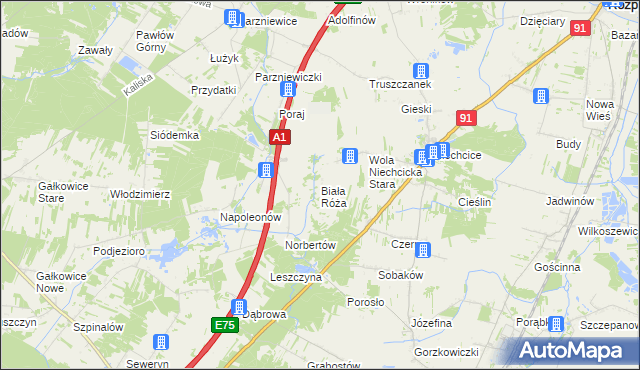 mapa Biała Róża gmina Rozprza, Biała Róża gmina Rozprza na mapie Targeo
