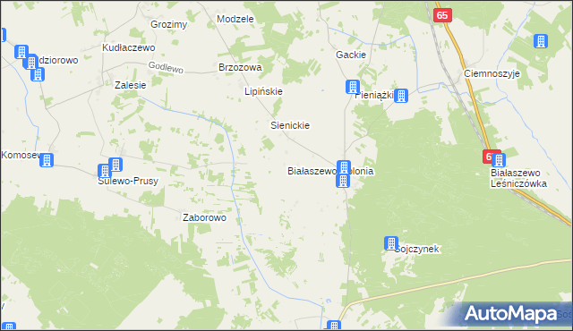 mapa Białaszewo-Kolonia, Białaszewo-Kolonia na mapie Targeo