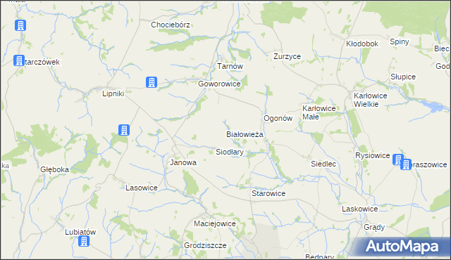 mapa Białowieża gmina Kamiennik, Białowieża gmina Kamiennik na mapie Targeo