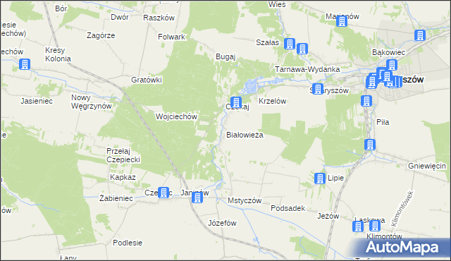 mapa Białowieża gmina Sędziszów, Białowieża gmina Sędziszów na mapie Targeo