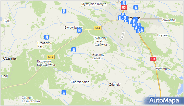 mapa Białusny Lasek, Białusny Lasek na mapie Targeo