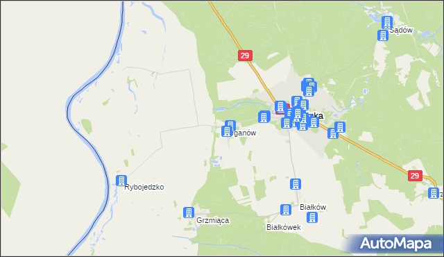 mapa Bieganów gmina Cybinka, Bieganów gmina Cybinka na mapie Targeo