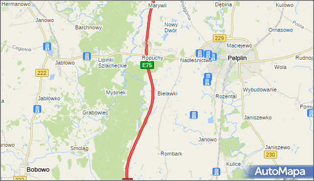 mapa Bielawki gmina Pelplin, Bielawki gmina Pelplin na mapie Targeo