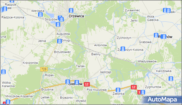 mapa Bieliny gmina Gielniów, Bieliny gmina Gielniów na mapie Targeo