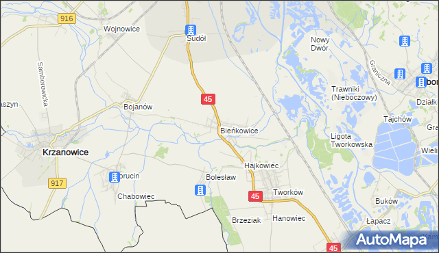 mapa Bieńkowice gmina Krzyżanowice, Bieńkowice gmina Krzyżanowice na mapie Targeo