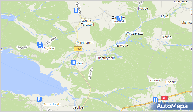 mapa Biestrzynnik, Biestrzynnik na mapie Targeo
