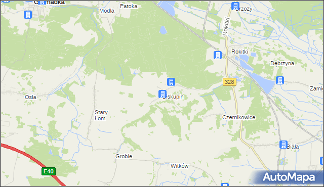 mapa Biskupin gmina Chojnów, Biskupin gmina Chojnów na mapie Targeo