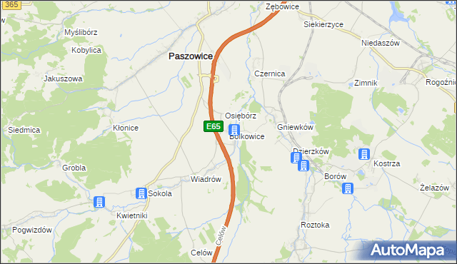 mapa Bolkowice gmina Paszowice, Bolkowice gmina Paszowice na mapie Targeo