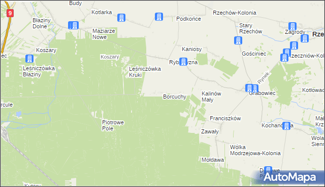 mapa Borcuchy gmina Rzeczniów, Borcuchy gmina Rzeczniów na mapie Targeo