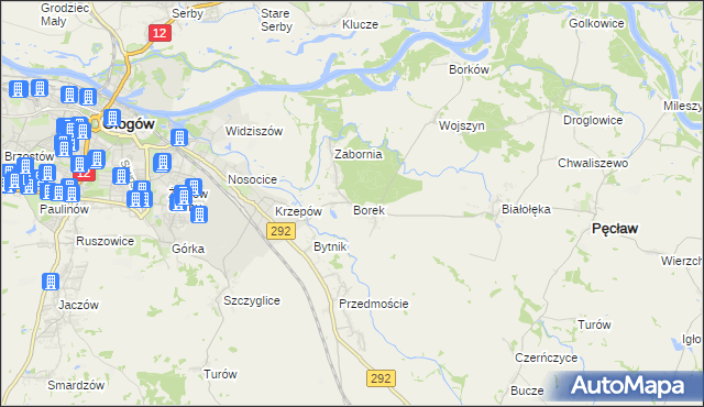 mapa Borek gmina Głogów, Borek gmina Głogów na mapie Targeo