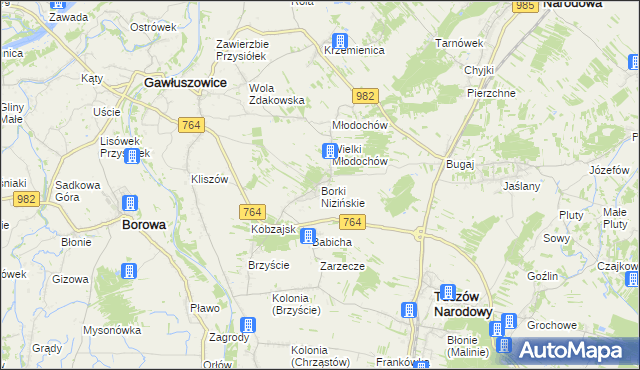 mapa Borki Nizińskie, Borki Nizińskie na mapie Targeo