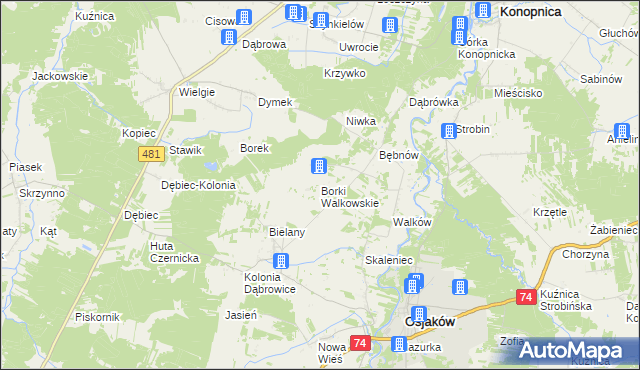 mapa Borki Walkowskie, Borki Walkowskie na mapie Targeo