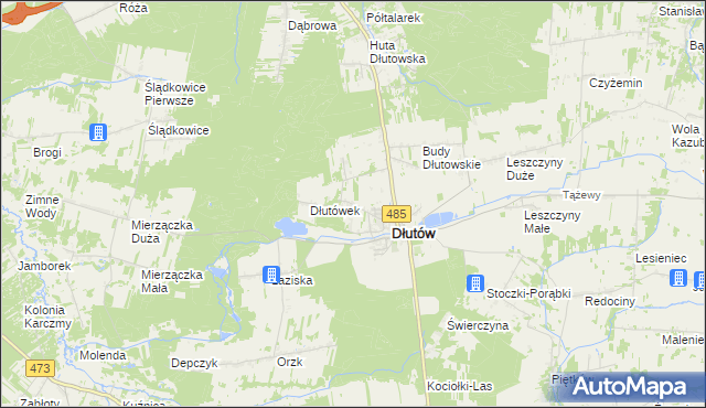 mapa Borkowice gmina Dłutów, Borkowice gmina Dłutów na mapie Targeo