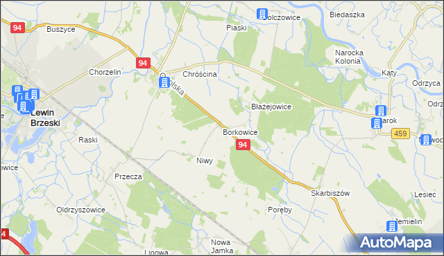 mapa Borkowice gmina Lewin Brzeski, Borkowice gmina Lewin Brzeski na mapie Targeo