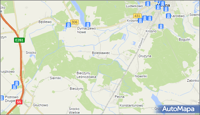 mapa Borkowice gmina Mosina, Borkowice gmina Mosina na mapie Targeo