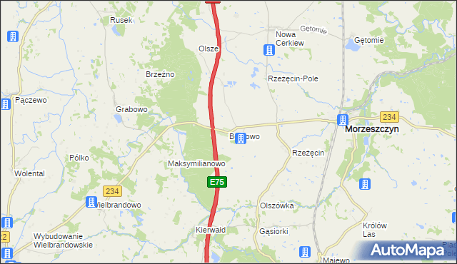 mapa Borkowo gmina Morzeszczyn, Borkowo gmina Morzeszczyn na mapie Targeo