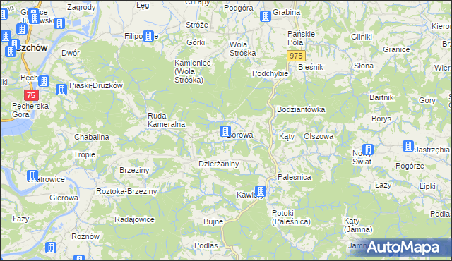 mapa Borowa gmina Zakliczyn, Borowa gmina Zakliczyn na mapie Targeo