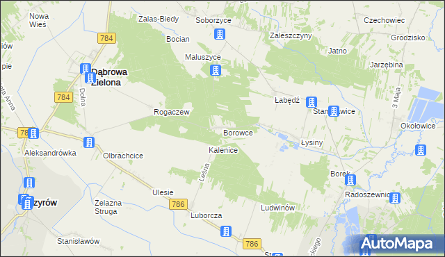 mapa Borowce gmina Dąbrowa Zielona, Borowce gmina Dąbrowa Zielona na mapie Targeo