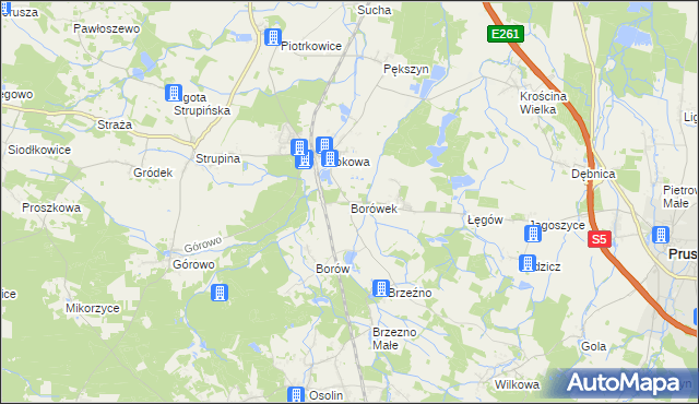 mapa Borówek gmina Prusice, Borówek gmina Prusice na mapie Targeo
