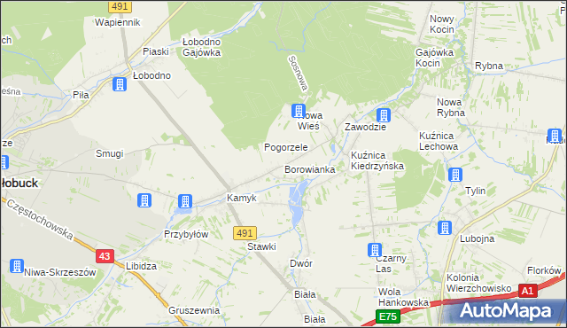 mapa Borowianka, Borowianka na mapie Targeo