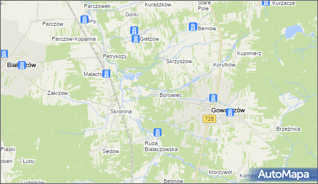 mapa Borowiec gmina Gowarczów, Borowiec gmina Gowarczów na mapie Targeo