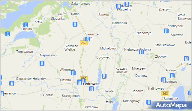 mapa Borówiec gmina Ostrowite, Borówiec gmina Ostrowite na mapie Targeo