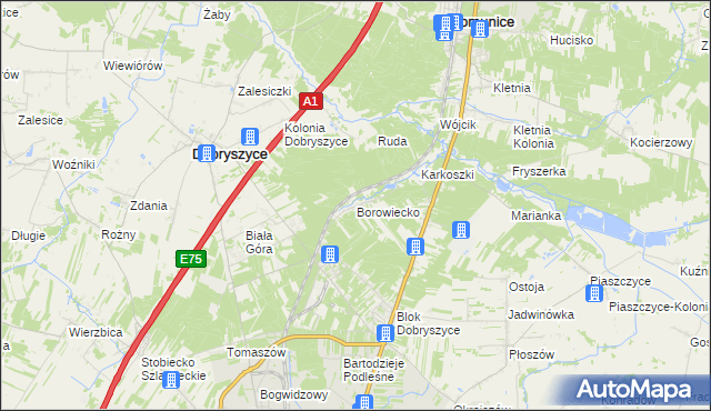 mapa Borowiecko, Borowiecko na mapie Targeo