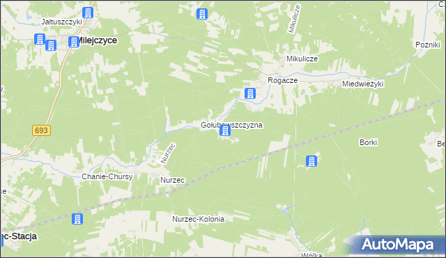 mapa Borowiki, Borowiki na mapie Targeo