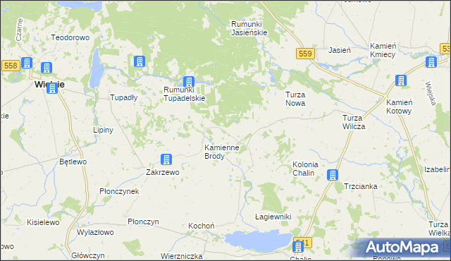 mapa Borowo gmina Tłuchowo, Borowo gmina Tłuchowo na mapie Targeo