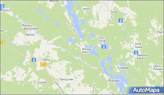 mapa Borowy Młyn gmina Pszczew, Borowy Młyn gmina Pszczew na mapie Targeo