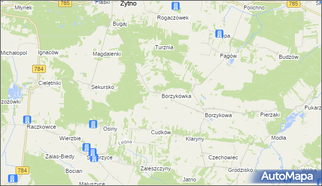 mapa Borzykówka, Borzykówka na mapie Targeo