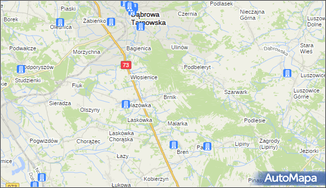 mapa Brnik, Brnik na mapie Targeo