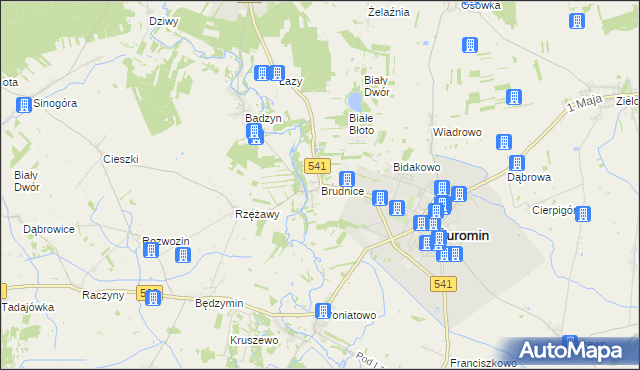 mapa Brudnice, Brudnice na mapie Targeo