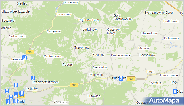 mapa Brzeziny gmina Niegowa, Brzeziny gmina Niegowa na mapie Targeo