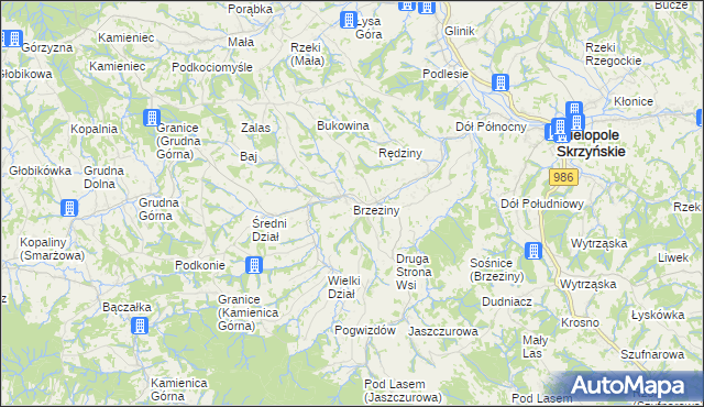 mapa Brzeziny gmina Wielopole Skrzyńskie, Brzeziny gmina Wielopole Skrzyńskie na mapie Targeo