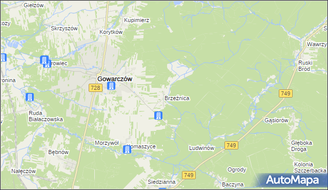 mapa Brzeźnica gmina Gowarczów, Brzeźnica gmina Gowarczów na mapie Targeo