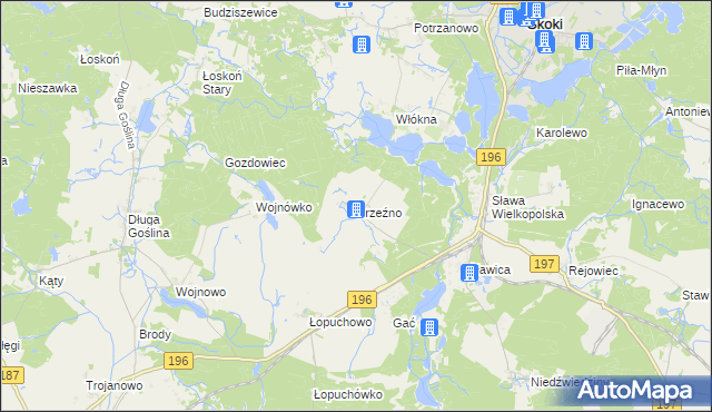 mapa Brzeźno gmina Skoki, Brzeźno gmina Skoki na mapie Targeo