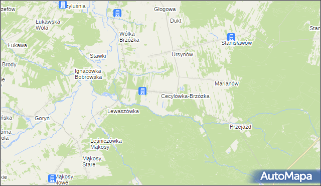 mapa Cecylówka-Brzózka, Cecylówka-Brzózka na mapie Targeo