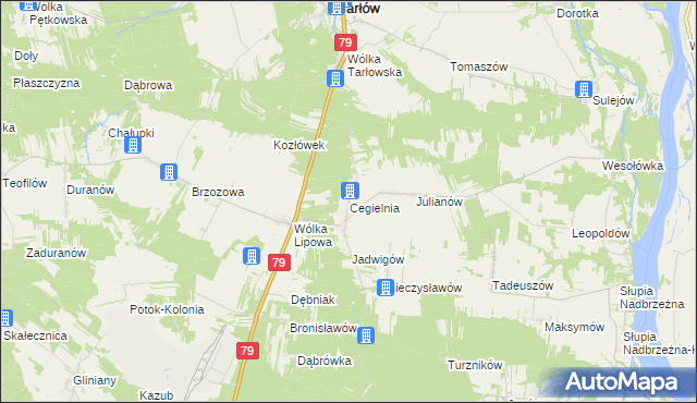 mapa Cegielnia gmina Tarłów, Cegielnia gmina Tarłów na mapie Targeo