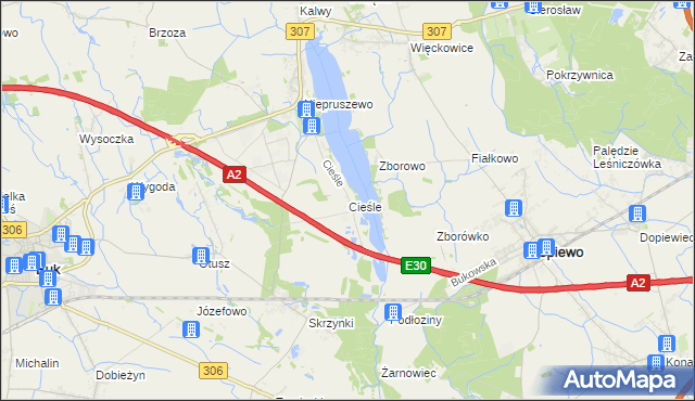 mapa Cieśle gmina Buk, Cieśle gmina Buk na mapie Targeo