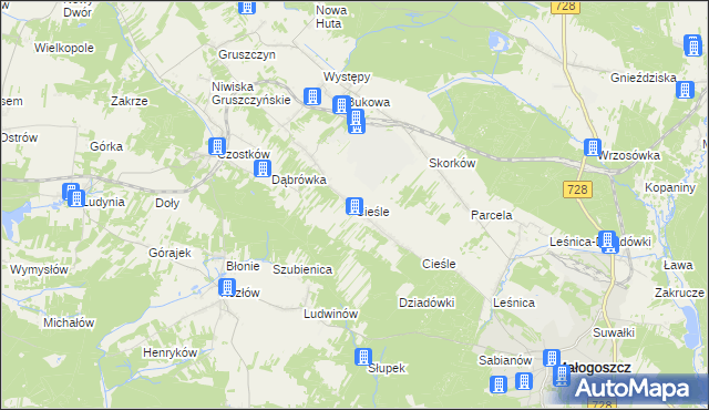 mapa Cieśle gmina Krasocin, Cieśle gmina Krasocin na mapie Targeo