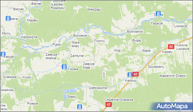 mapa Cieśle gmina Pątnów, Cieśle gmina Pątnów na mapie Targeo