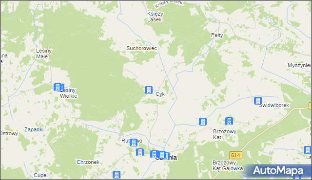 mapa Cyk gmina Czarnia, Cyk gmina Czarnia na mapie Targeo