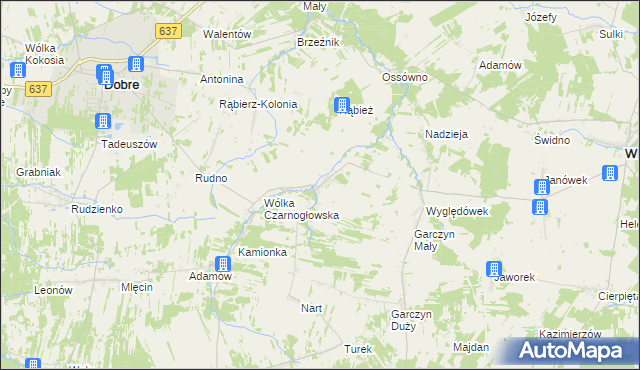 mapa Czarnogłów, Czarnogłów na mapie Targeo