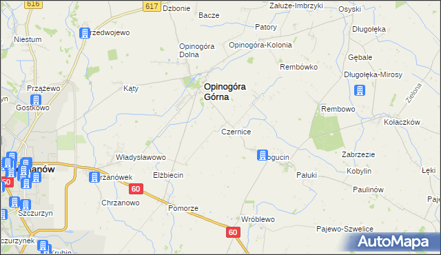 mapa Czernice gmina Opinogóra Górna, Czernice gmina Opinogóra Górna na mapie Targeo